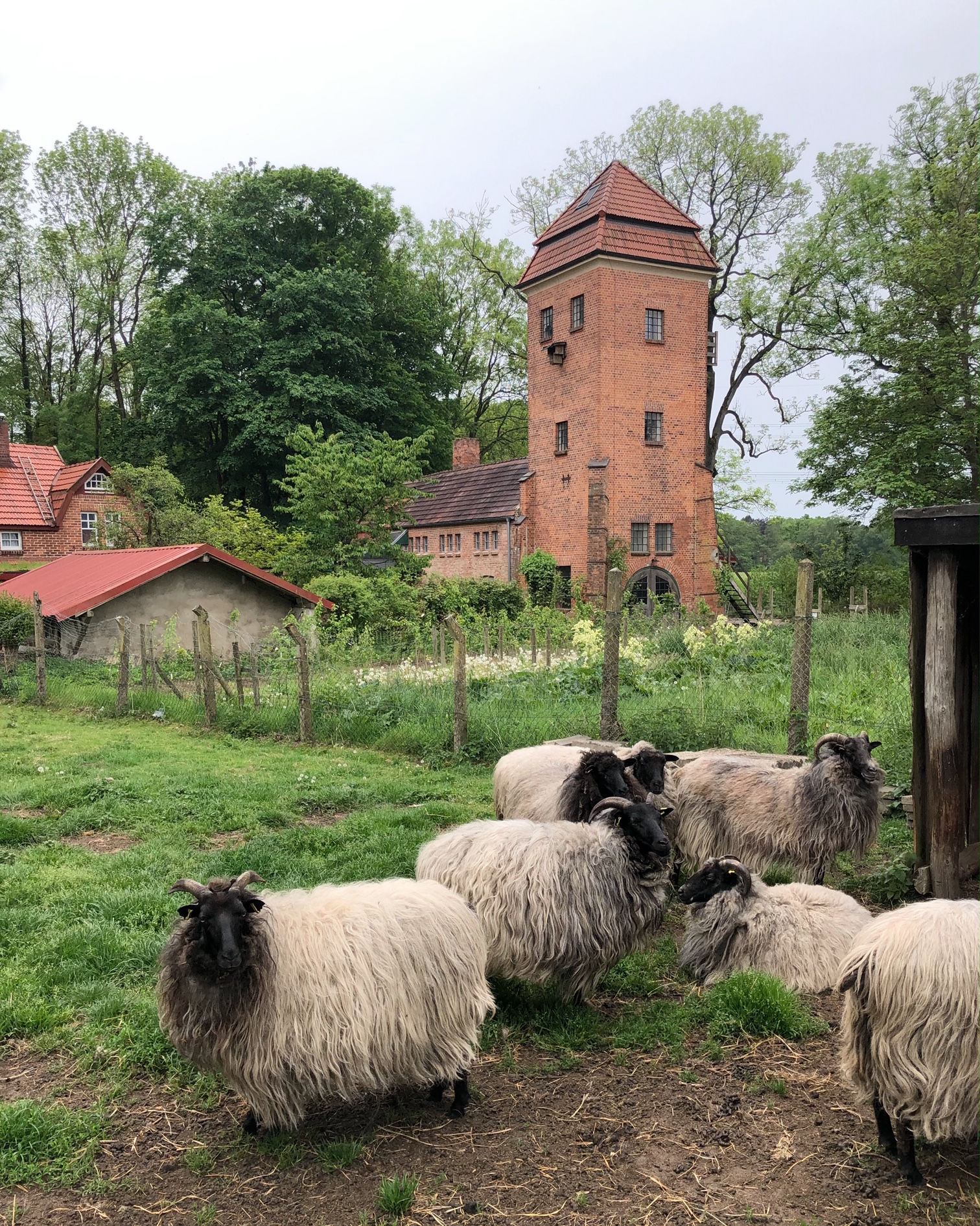 In Hamburg und Drumherum Ausflug zum Gut Wulfsdorf middenmangmiddenmang